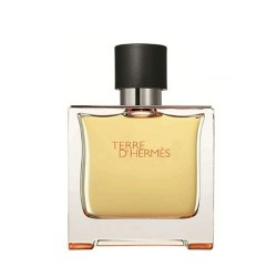 Tester Hermes Terre d'Hermes - Parfum